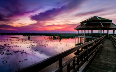 Günbatımı Tayland doğal park