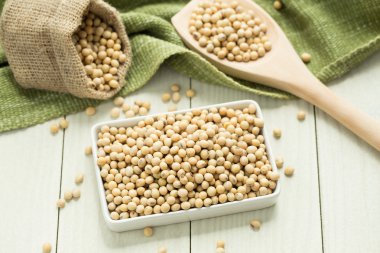Masada soya fasulyesi