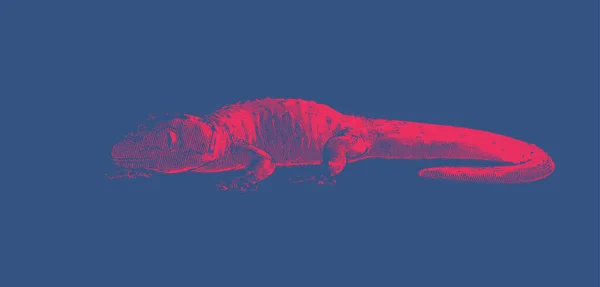 Leuchtend Rot Gravierte Vektor Zeichnung Gecko Mit Dunklem Schatten Der — Stockvektor