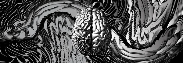 Monocromo Grabado Dibujo Cerebro Humano Con Diferentes Estilos Hemisferios Cerebrales — Archivo Imágenes Vectoriales