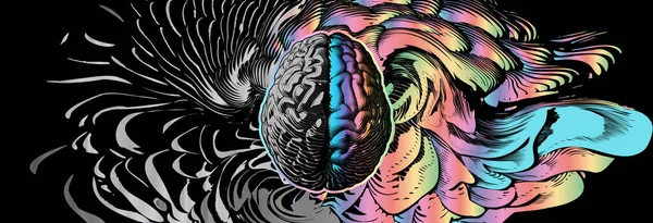 Vyrytý Lidský Mozek Různým Stylem Levé Pravé Mozkové Hemisféry Ilustrace — Stockový vektor