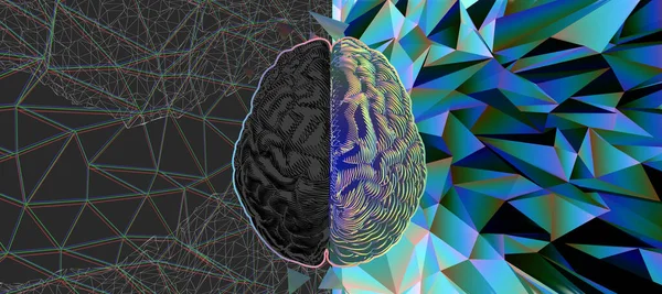 Människans Hjärna Hemisfärer Vänster Och Höger Hjärnfunktioner Abstrakt Demonstration Illustration — Stock vektor