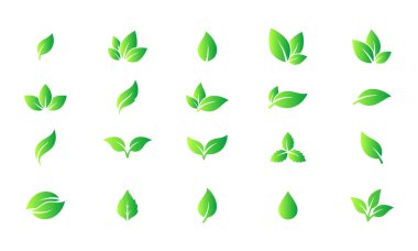 Çevre ve Sağlık Logoları İçin Modern Yeşil Yaprak Simgeleri Toplama Doğa, Eko, Organik Vektör Seti