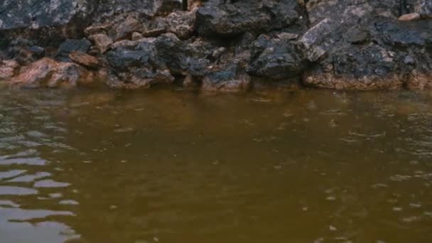 Fontaine Villa Italie Alpes grue gouttes d'eau — Video