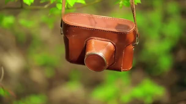 Old camera hanging on the tree — Stock Video