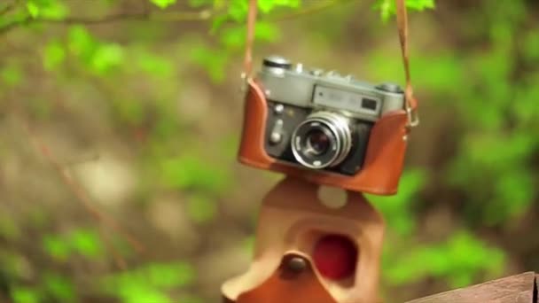 Oude camera opknoping op de boom — Stockvideo