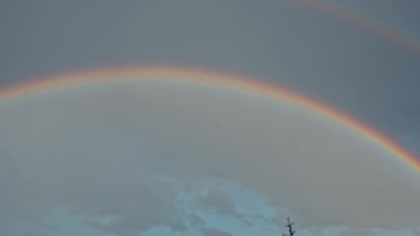 El arco iris en el cielo — Vídeo de stock