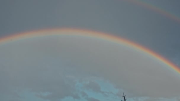 Regnbågen i himlen — Stockvideo