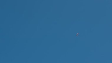 yarışmadan önce eğitim paraşütçü. Moskova, Rusya, Nisan 2016