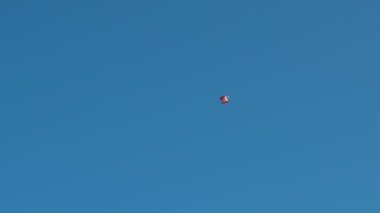 yarışmadan önce eğitim paraşütçü. Moskova, Rusya, Nisan 2016