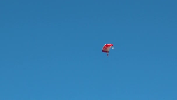 Entraînement parachutiste avant la compétition. Moscou, Russie, avril 2016 — Video