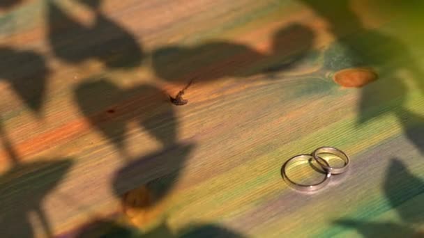 Anéis de casamento jazem em uma superfície de madeira — Vídeo de Stock