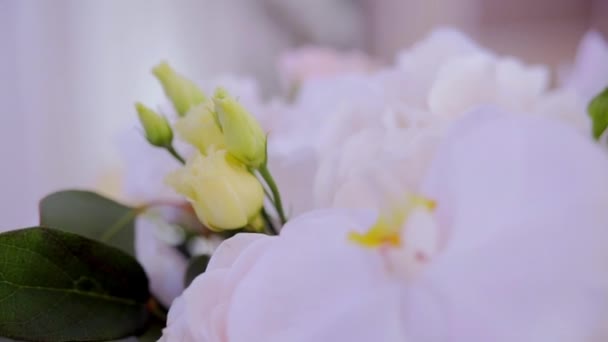 fleurs, décoration de hall, décorations, fleurs fraîches 