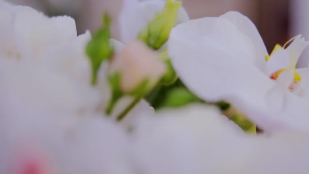 Αίθουσα διακόσμηση, διακοσμήσεις, άνθη, φρέσκα λουλούδια — Αρχείο Βίντεο