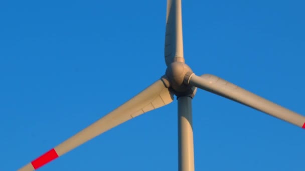 Wind generators over sky background — Stock Video