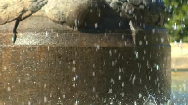バラ園の噴水で、バーデン ・ バーデン — ストック動画
