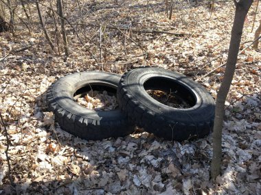 Ormanda eski, kirli lastik lastikler. Yasadışı