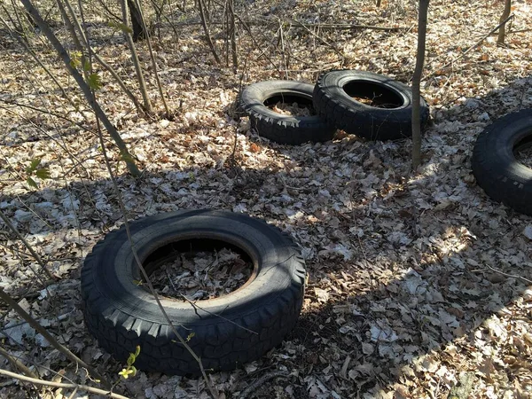 Neumáticos viejos y sucios en el bosque. Ilegal. — Foto de Stock