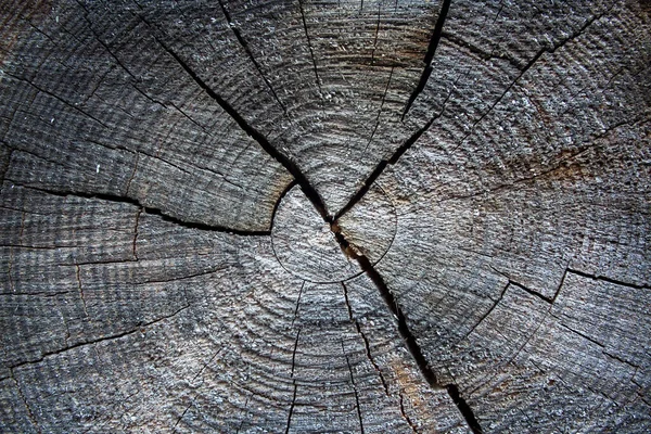 Starzejące się i wietrzne drewniane tło. Tekstura cięcia — Zdjęcie stockowe