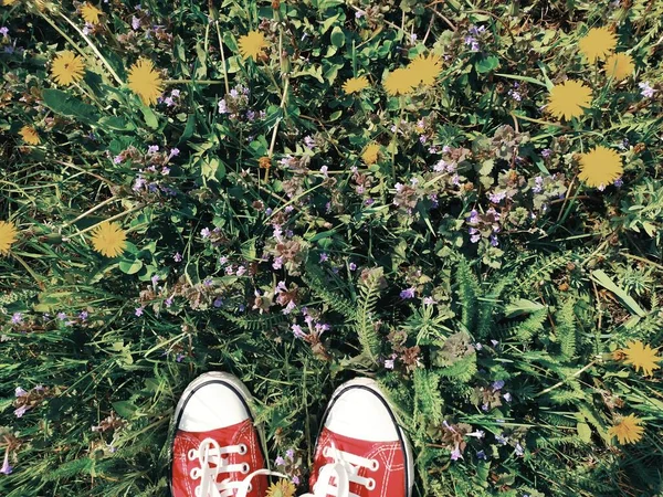 Top view of the feet of a — Stock Photo, Image