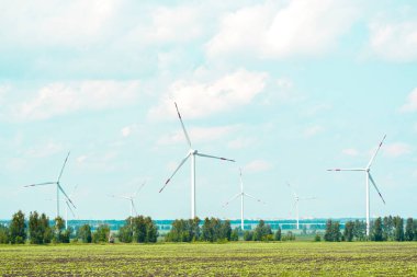 Birçok yel değirmeni büyük bir arazide duruyor.