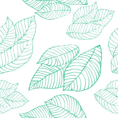 Beyaz arka planda yeşil yaprakların doğrusal deseni. Botanik baskılar doğal güzelliği ve formların saflığını taşır. Ekolojik ürünlerin, kırtasiyelerin, tekstil ürünlerinin, ambalajların, sağlıklı gıdaların tasarımı için