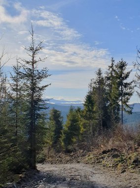 Aralık ayında koyu yeşil bir ladin ormanından geçen toprak bir yol. Uzakta, dağların gri-mavi çizgileri görülebilir. Sonbaharın sonundaki atmosfer ya da anormal derecede sıcak bir kış.