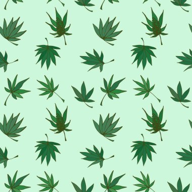Yeşil arka planda yeşil gölgeli kenevir yapraklarının stilize deseni. Farklı yaprak şekillerine sahip dekoratif botanik elementler, resimli, el çizimi tarzda yapılmış. Tasarım için, baskılar