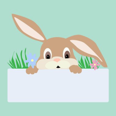 Paskalya tavşanı boş beyaz bir afişin arkasından dışarı bakıyor. Yeşil otların içinde bahar çiçekleri olan kahverengi bir tavşanın vektör çizimi. Tatil kutlamaları veya davetler için şablon.
