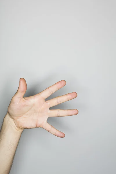 Izolované rukou gesto v ateliéru — Stock fotografie