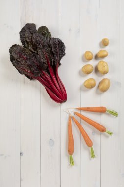 Düz Mangold sebze ile yatıyordu