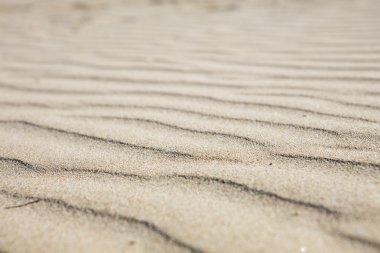 ayrıntılı bir plajda mikro tepeleri