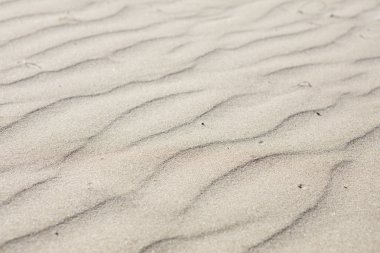 ayrıntılı bir plajda mikro tepeleri