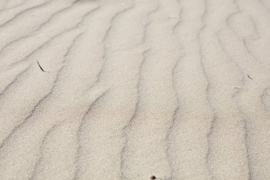 ayrıntılı bir plajda mikro tepeleri