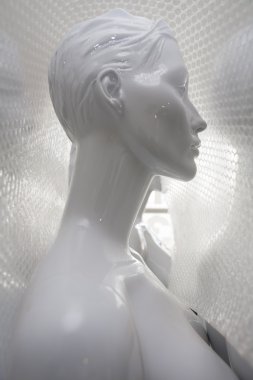 taze boyanmış mankenler gönderilecek Paketli