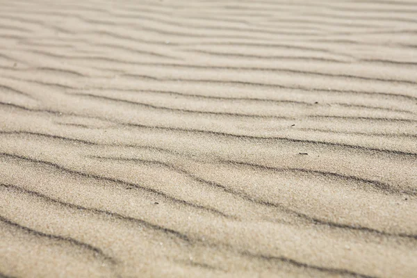 Detalj av micro sanddyner på en strand — Stockfoto