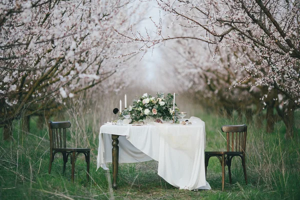 Holiday table in the blossoming garden — Stock Photo, Image