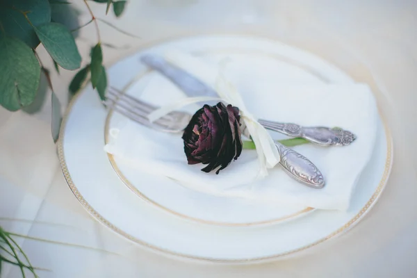 Plate with a black rose on it — Stock Photo, Image