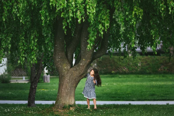 Маленька дівчинка біля дерева — стокове фото