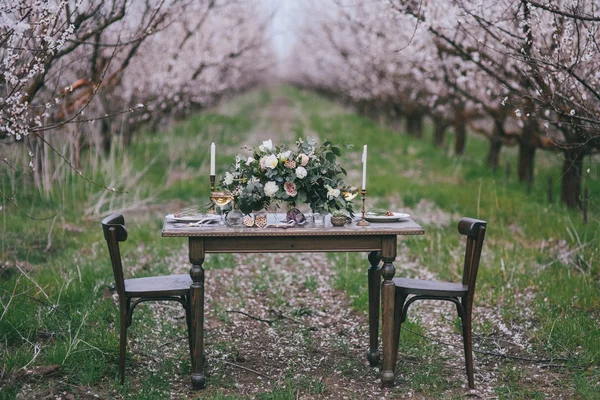 Holiday table in the blossoming orchard — Stock Photo, Image