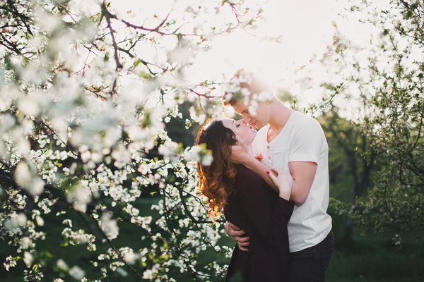 Doux couple dans un verger de cerisiers — Photo