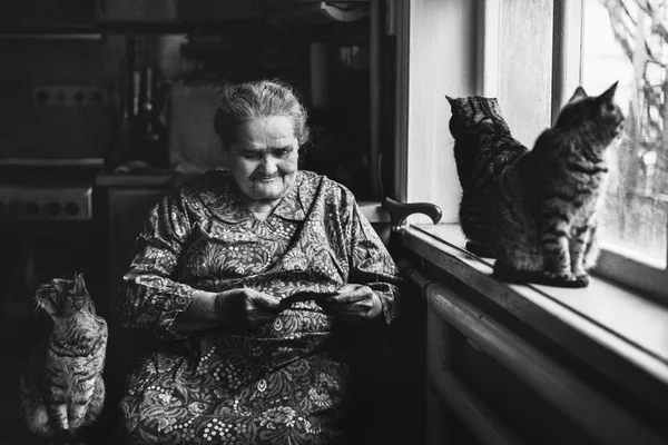 Vieille femme avec des chats Photo De Stock