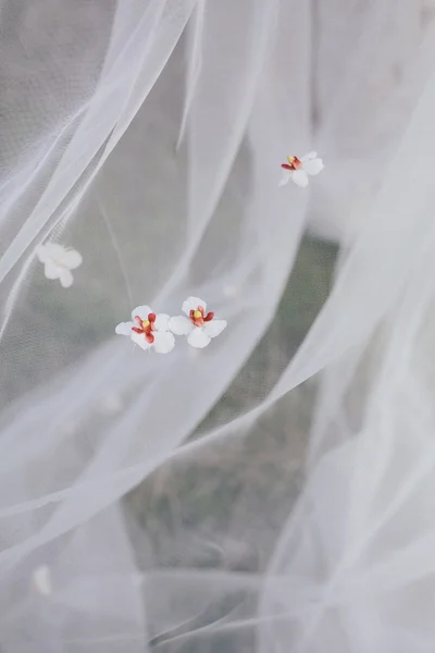 ดอกไม้บนผ้าคลุม — ภาพถ่ายสต็อก