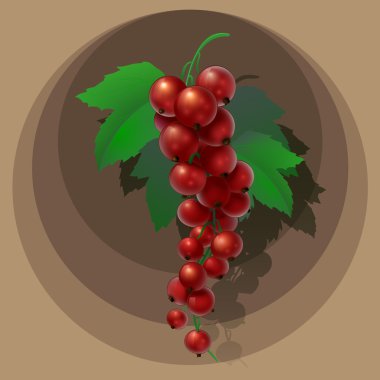 Yeşil yapraklı kırmızı frenk üzümü