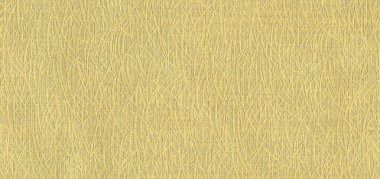 Altın işlemeli kağıt ile kesişen saç çizgileri soyut doğrusal desenler oluşturuyor, lüks paketleme, kırtasiye ve yaratıcı tasarım için uygun..