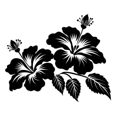 Beyaz arka planda yaprakları olan iki tropikal amber çiçeğinden oluşan kalın siyah siluet.