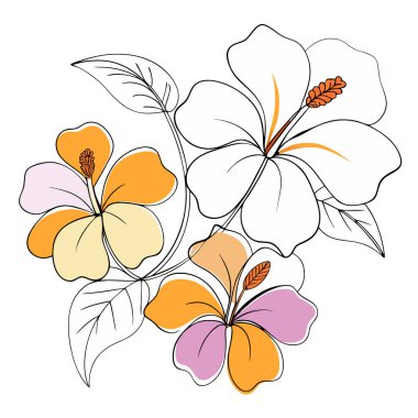 Beyaz arkaplanda çizilmiş yaprakları olan üç amber çiçeğinin suluboya çizimi