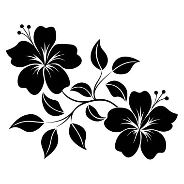 Çiçek açan amber çiçekleri ve beyaz arkaplanda yaprakların zarif siyah silueti