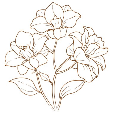 Çiçek açan çiçek demetinin zarif çizimi. Detaylı taç yapraklarıyla.