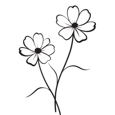 İnce saplı ve karanlık merkezli iki narin kozmos çiçeğinin basit çizimleri.